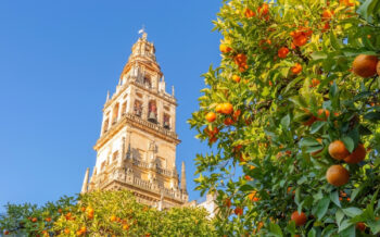 Giralda in Sevilla